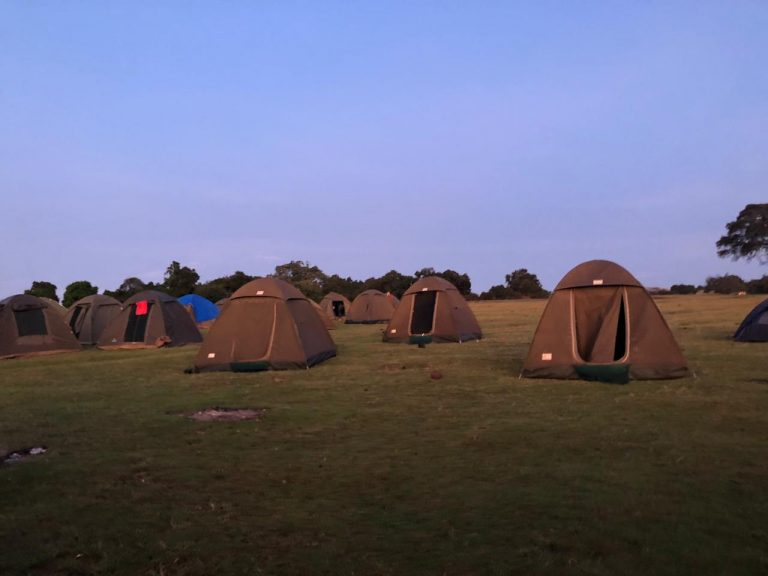 6 Days Tanzania Budget Camping Safari