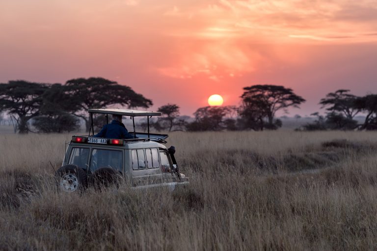 4 Days Tanzania Luxury Bush Safari